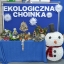ekologiczna choinka