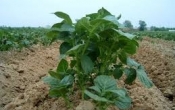 images2
